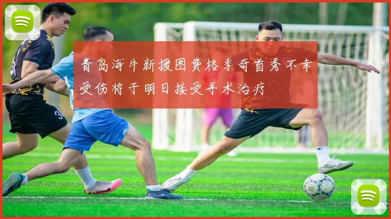 青岛海牛新援图费格季奇首秀不幸受伤将于明日接受手术治疗